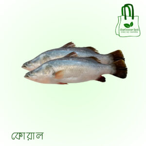 কোরাল