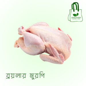ব্রয়লার মুরগি
